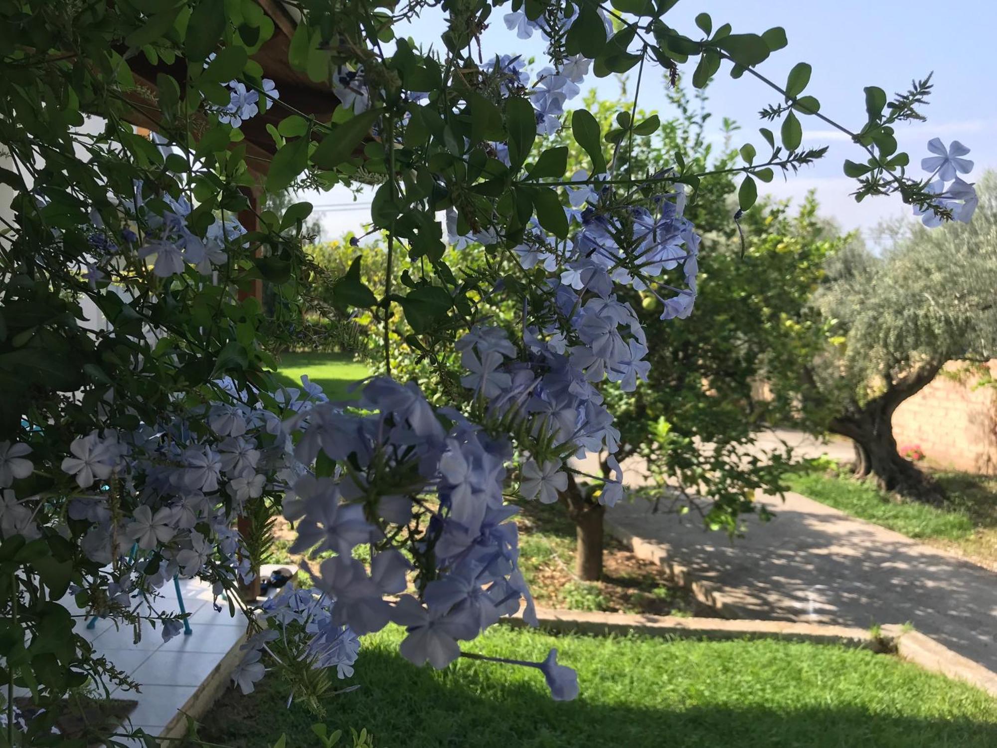 Spiti Ostria Villa Éjo Eksteriør bilde